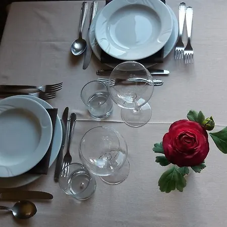 Tirrenia Hotel 3*